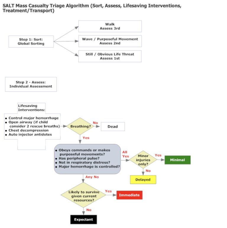 START, SALT, and RAMP Triage in a Mass Casualty Event - Crisis Medicine