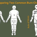 Diagrams comparing burn BSA from two different methods