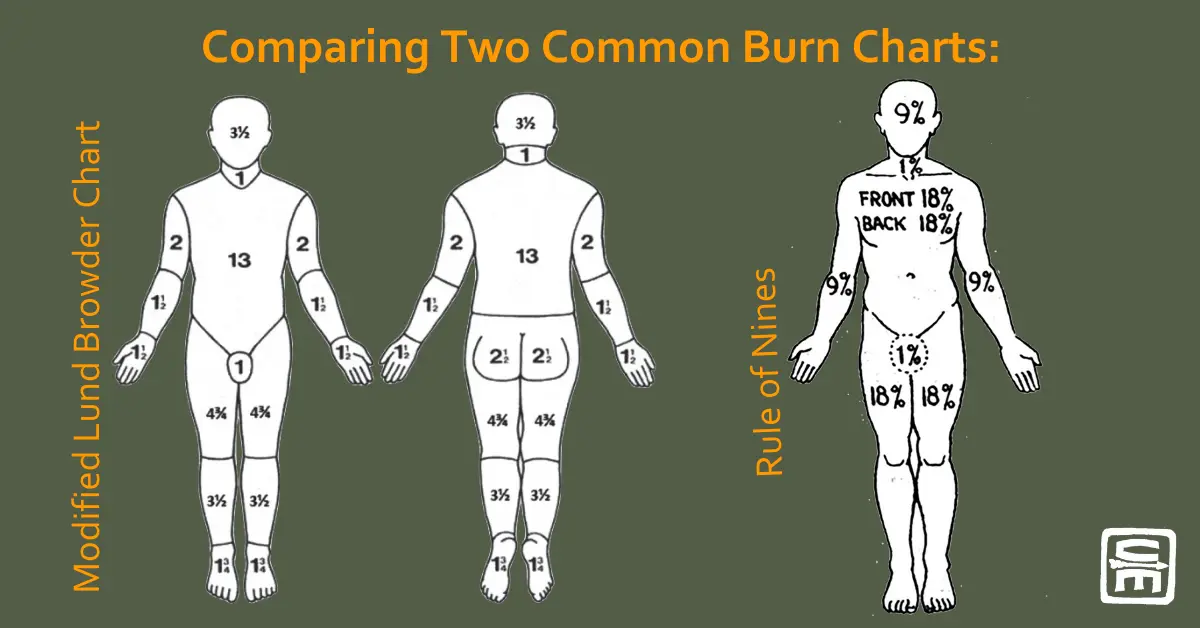 Diagrams comparing burn BSA from two different methods