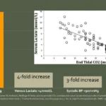 Two charts comparing EtCo2 levels to Venous lactate levels in trauma patients